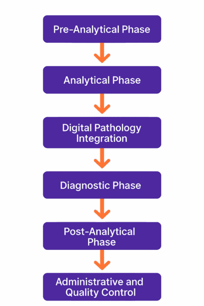 DB Soft Atlas PATH Workflow Transparent